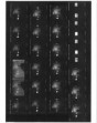 Negative Sheet: Unknown